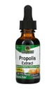 Nature's Answer, Propolis Extract, Alcohol-Free